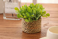 Planta Artificial de Eucalipto en Maceta Tejida | Decoración Natural | NovaHome