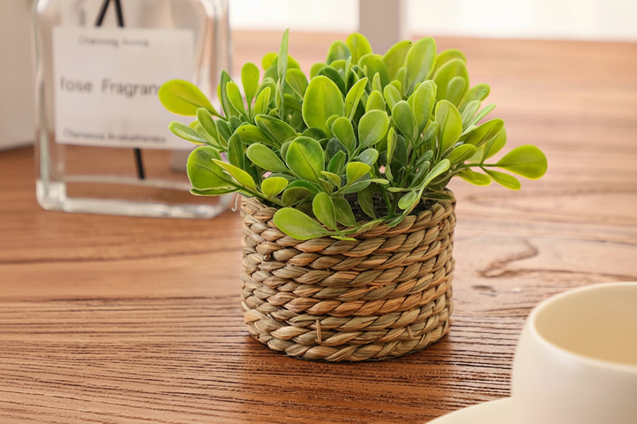Planta Artificial de Eucalipto en Maceta Tejida | Decoración Natural | NovaHome